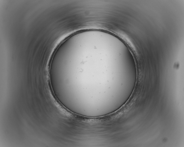 X0000094071380200711091142