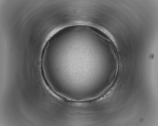 X0000094071381200711091142