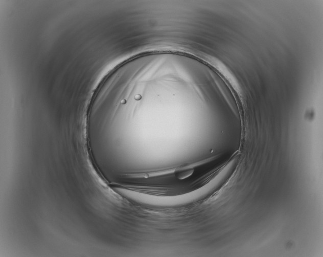 X0000094071388200711091142