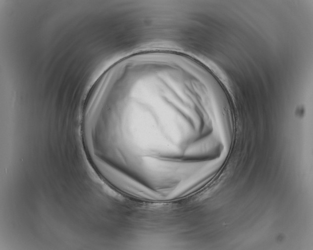 X0000094071390200711091141