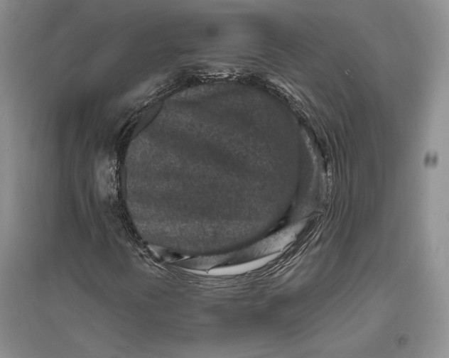 X0000094071394200711091141