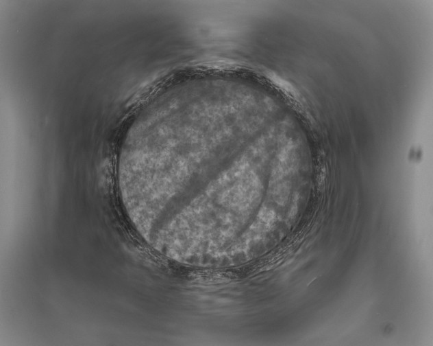 X0000094071397200711091141