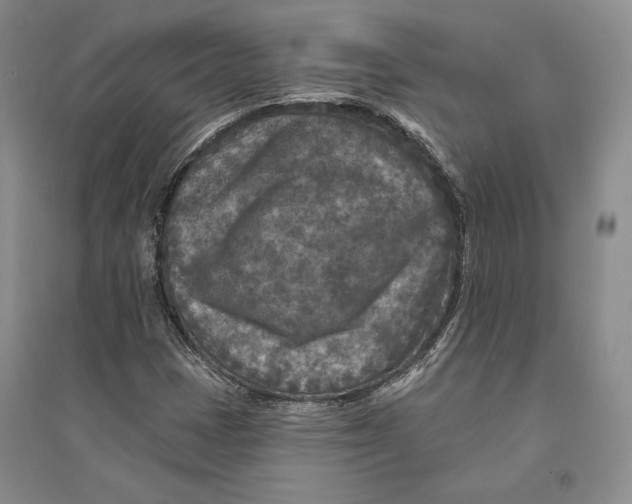 X0000094071401200711091141