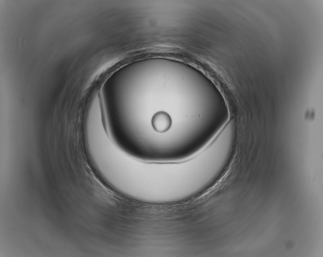 X0000094071402200711091141