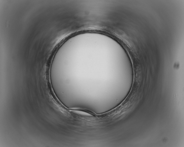 X0000094071404200711091141