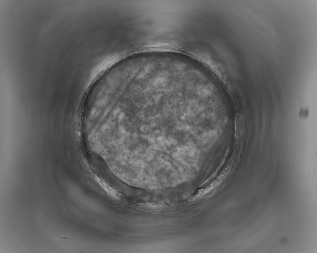 X0000094071405200711091141