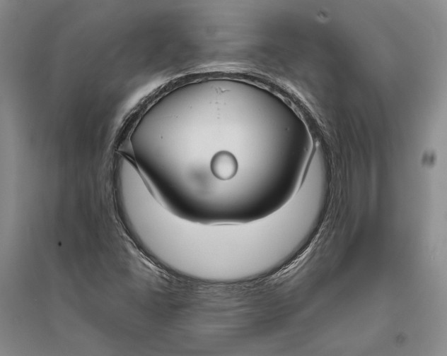 X0000094071406200711091141