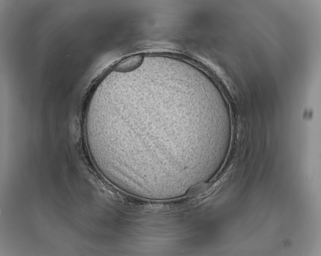 X0000094071407200711091141