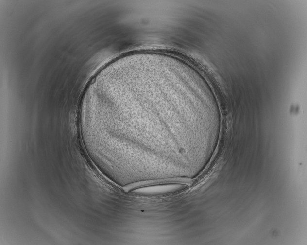 X0000094071409200711091141