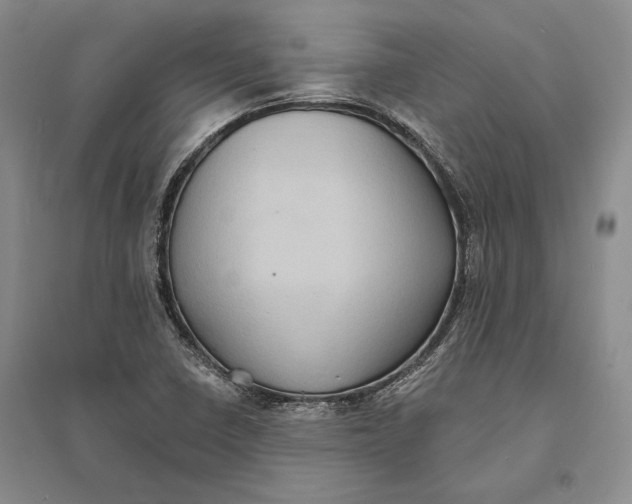X0000094071410200711091141