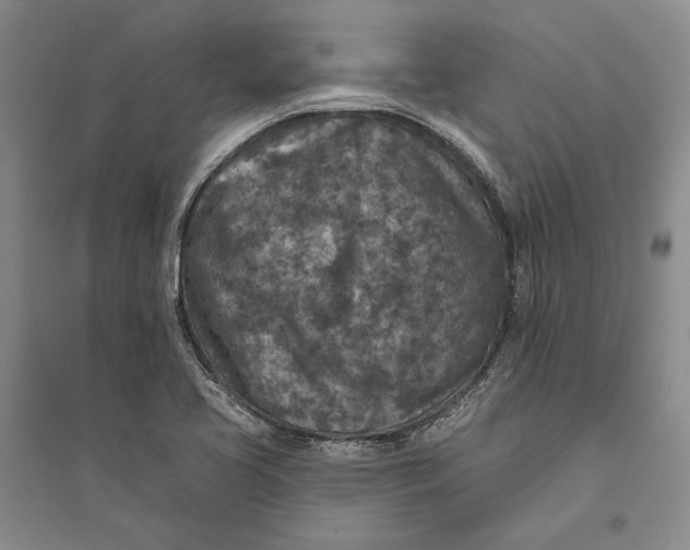 X0000094071413200711091141