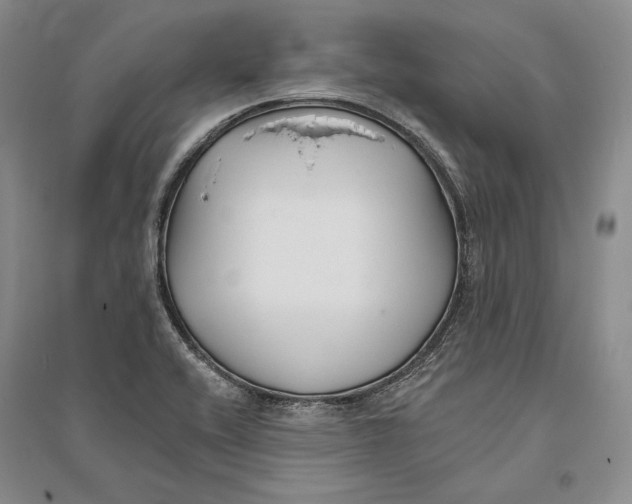 X0000094071416200711091141
