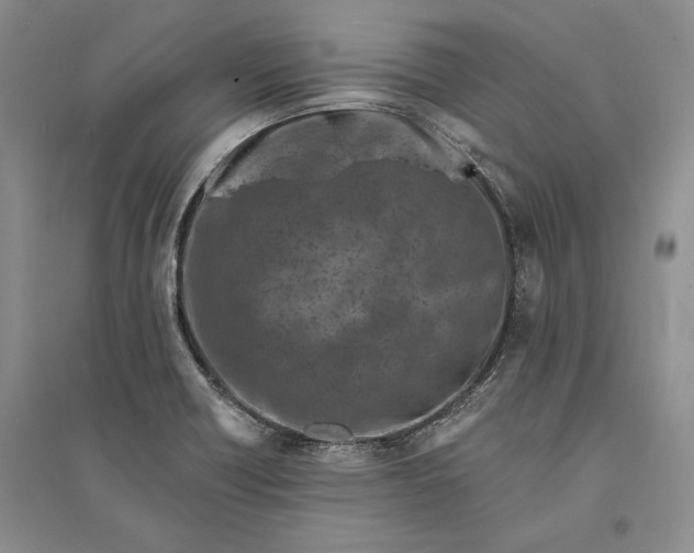 X0000094071418200711091141