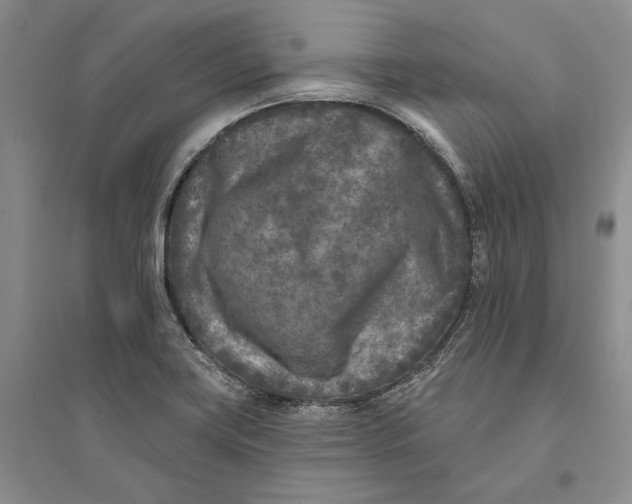 X0000094071419200711091141