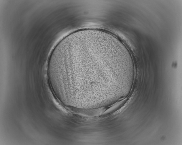 X0000094071421200711091141
