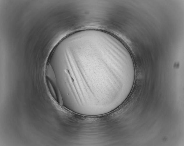 X0000094071423200711091141
