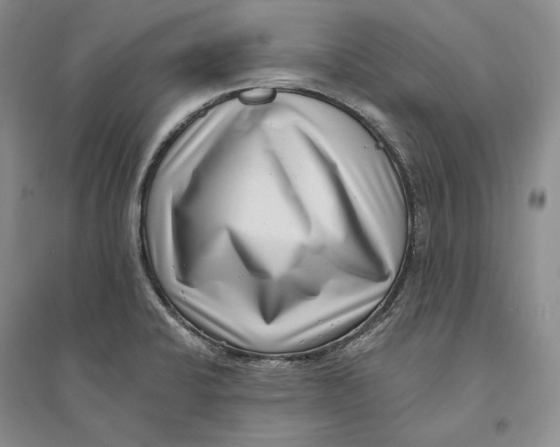 X0000094071424200711091141