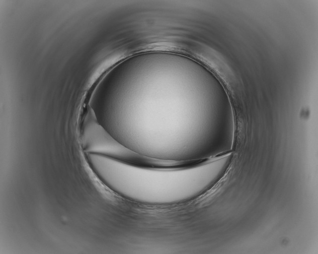X0000094071426200711091141