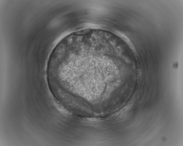 X0000094071427200711091141