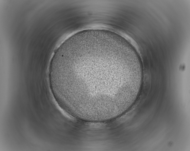 X0000094071429200711091141