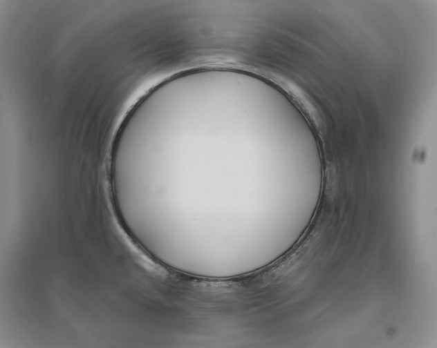 X0000094071432200711091141