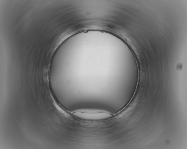 X0000094071433200711091141