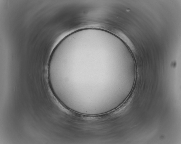 X0000094071436200711091141