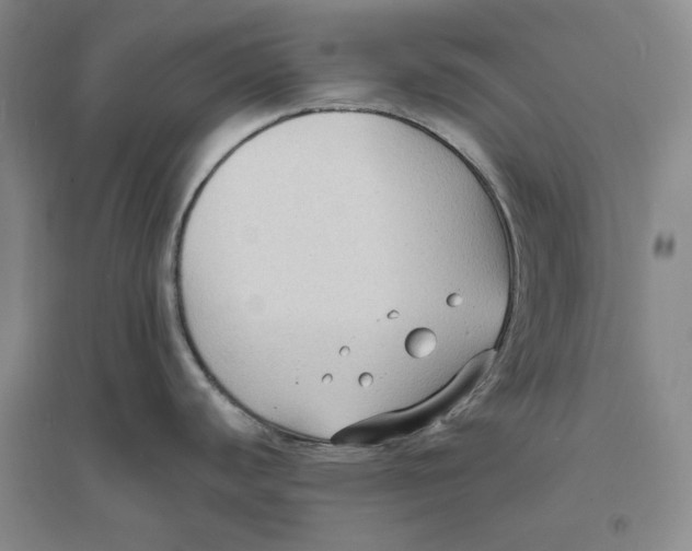 X0000094071440200711091141