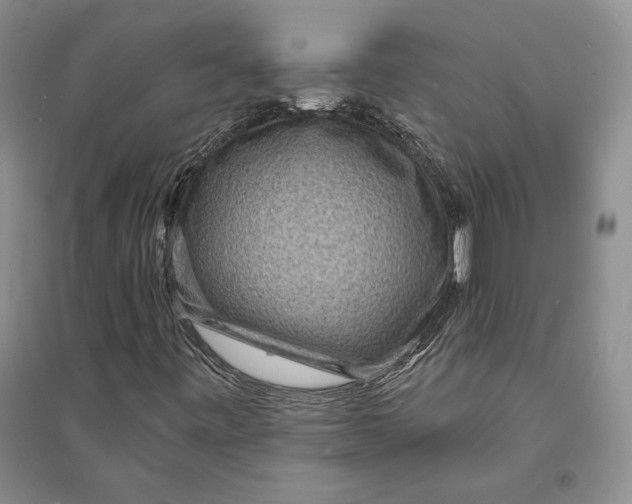 X0000094071443200711091141