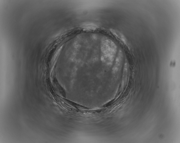 X0000094071445200711091141