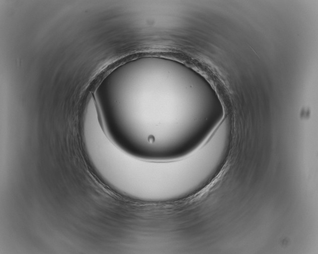 X0000094071449200711091141
