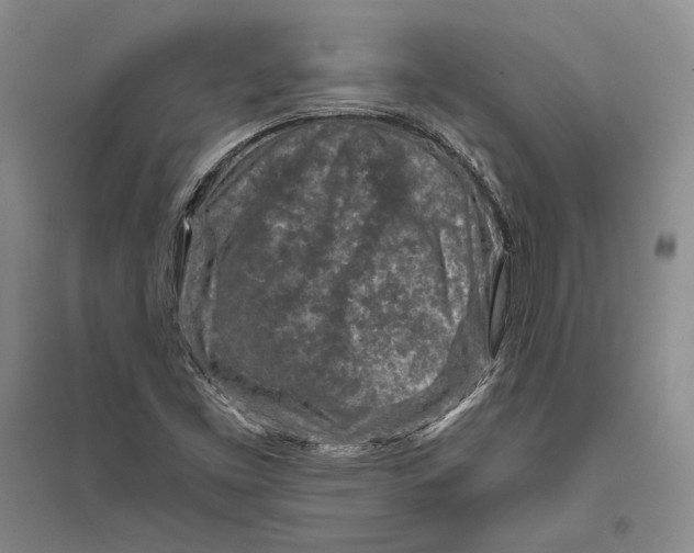 X0000094071453200711091141