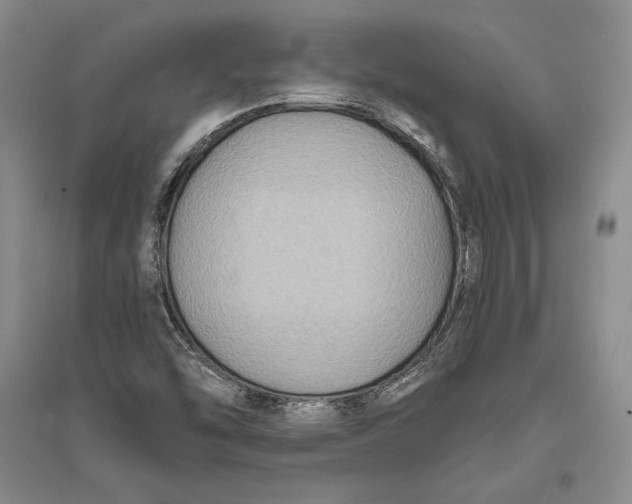X0000094071454200711091140