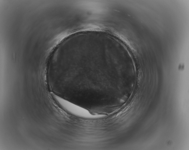 X0000094071455200711091140