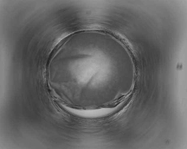 X0000094071457200711091140