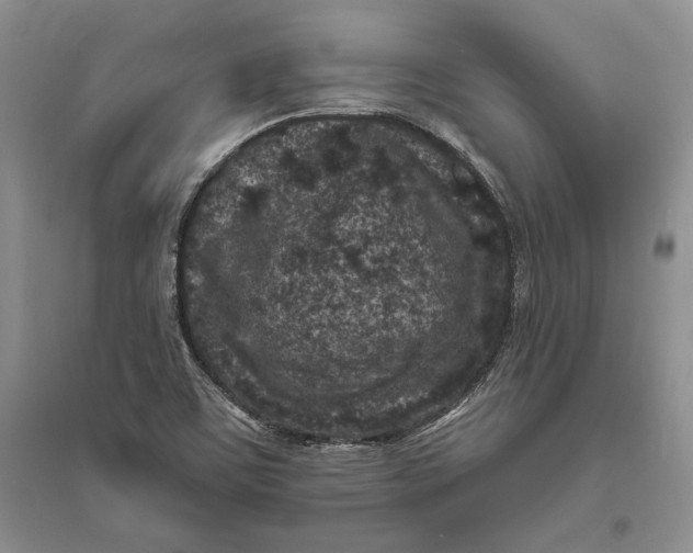 X0000094071459200711091140