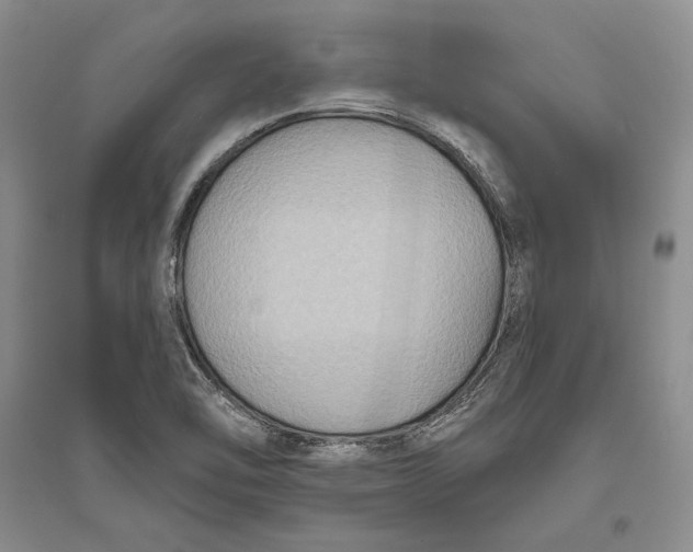 X0000094071462200711091140