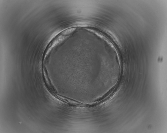 X0000094071465200711091140