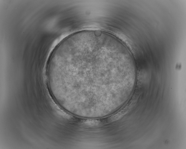 X0000094071466200711091140