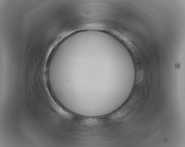 X0000094071470200711091140