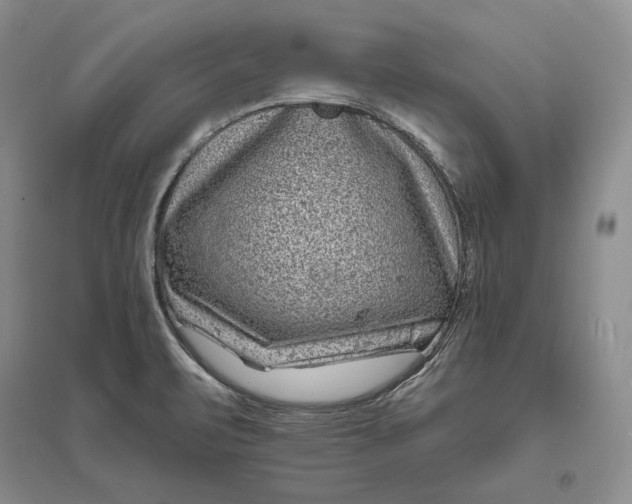 X0000094071471200711091140