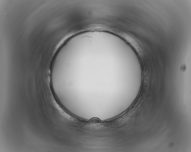 X0000094071476200711091140