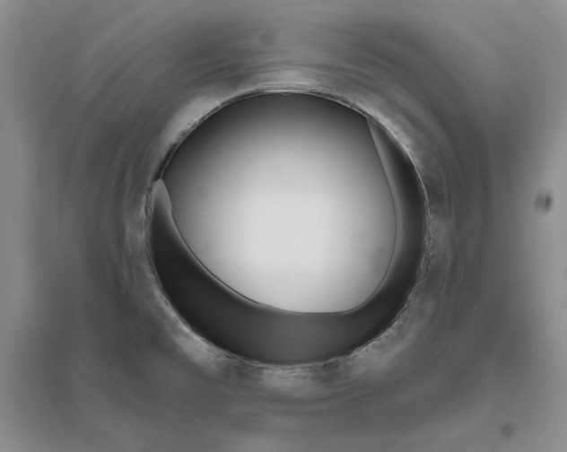 X0000094071477200711091140