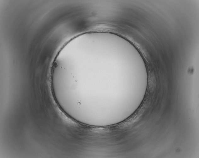 X0000094071478200711091140