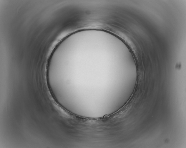 X0000094071480200711091140