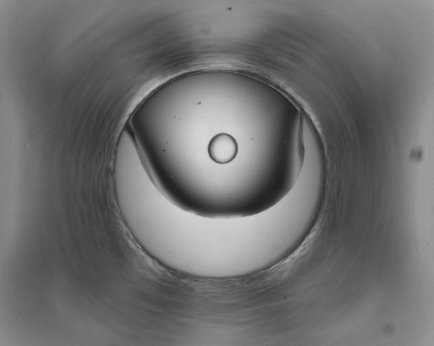 X0000094071481200711091140