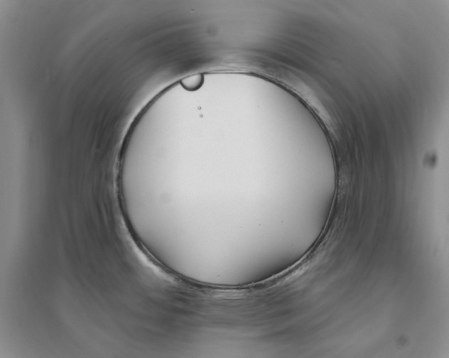 X0000094071484200711091140