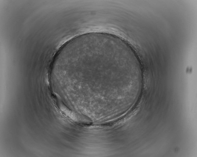 X0000094071497200711091139