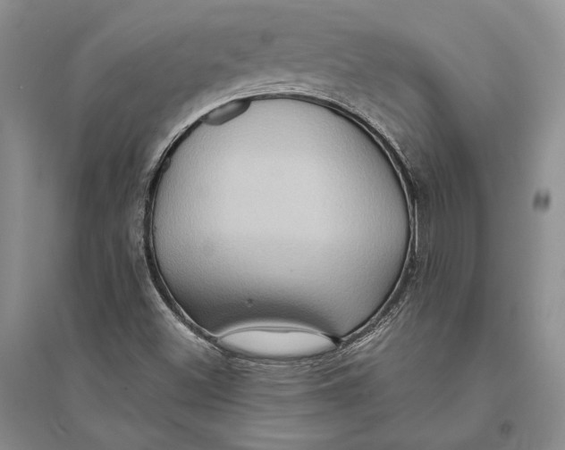 X0000094071500200711091139