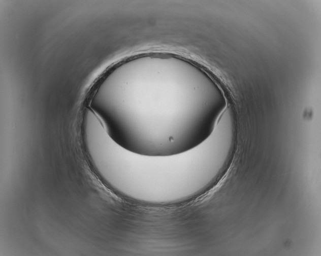 X0000094071502200711091139